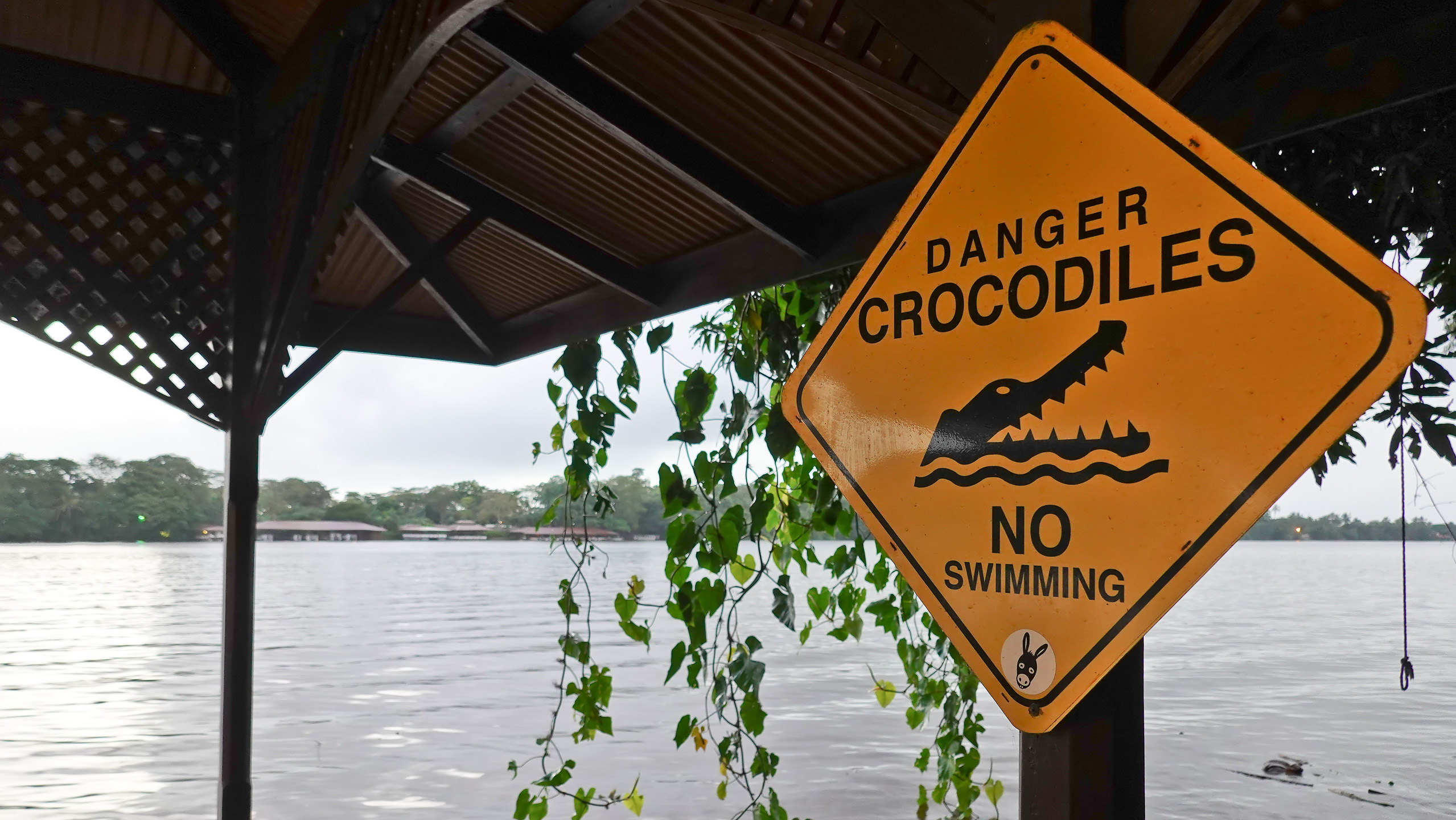 Danger, Crocodiles
